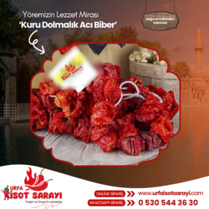 Yeni Mahsül Şanlıurfa Organik El Ve Ev Yapımı Kuru Dolmalık Acı Biber 50 Adet