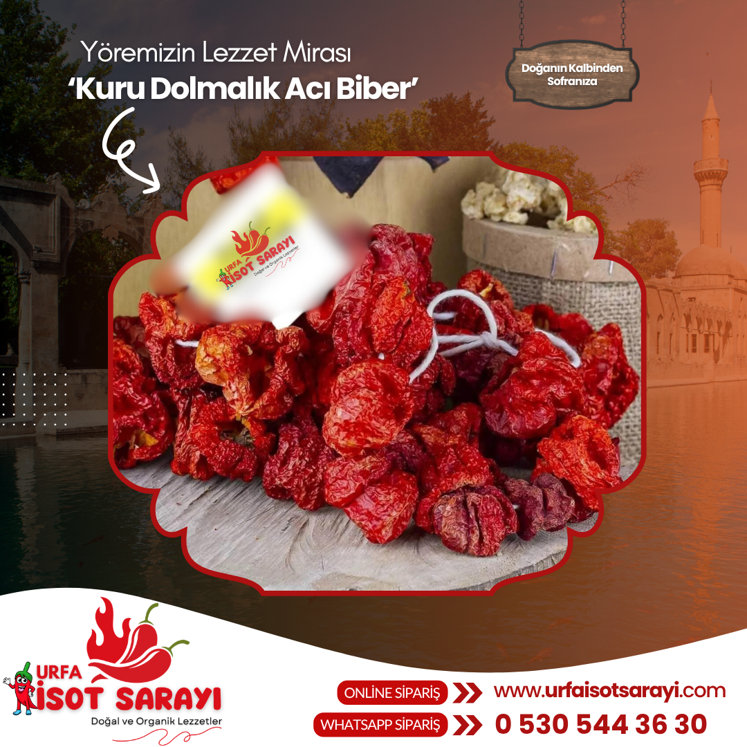 Yeni Mahsül Şanlıurfa Organik El Ve Ev Yapımı Kuru Dolmalık Acı Biber