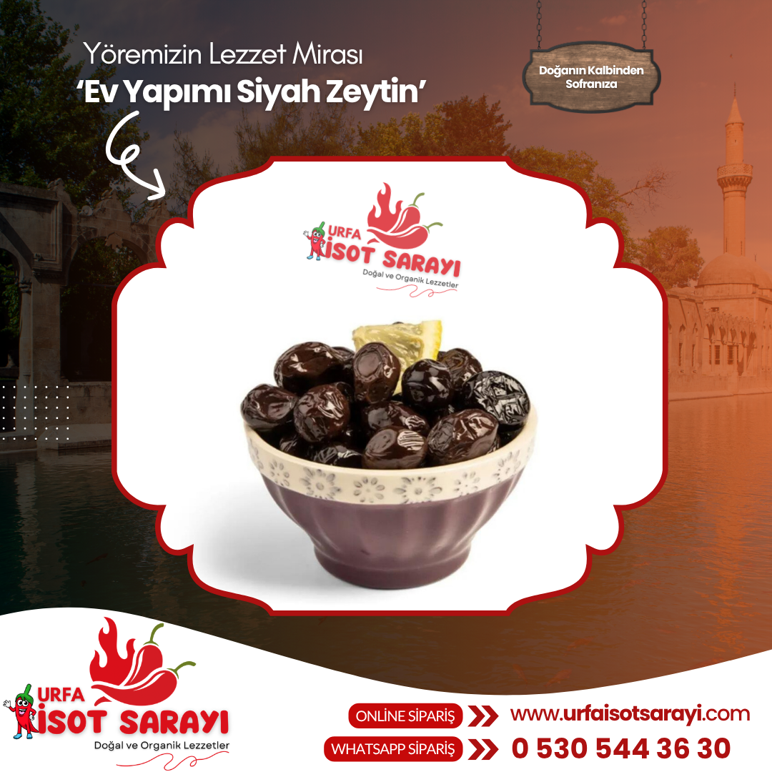 Şanlıurfa Organik Az Tuzlu Ev Yapımı Siyah Zeytin