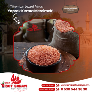 Şanlıurfa Organik Yaprak Kırmızı Mercimek 1 Kg