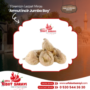 Organik Armut İncir Jumbo Boy 1 Kg