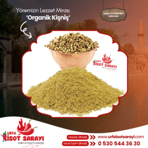 Şanlıurfa Organik Kişniş 1 Kg