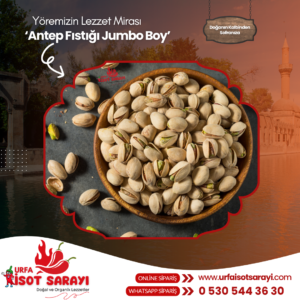 Antep Fıstığı Jumbo Boy