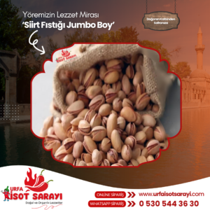 Siirt Fıstığı Jumbo Boy