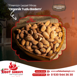 Organik Tuzlu Badem