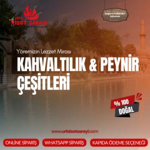 Kahvaltılık & Peynir