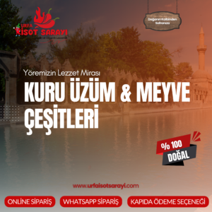 Kuru Üzüm & Meyve Çeşitleri