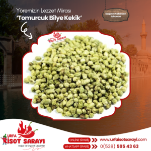 Şanlıurfa Organik Tomurcuk Bilye Kekik 1 Kg